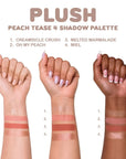 Palette plush 4 couleurs